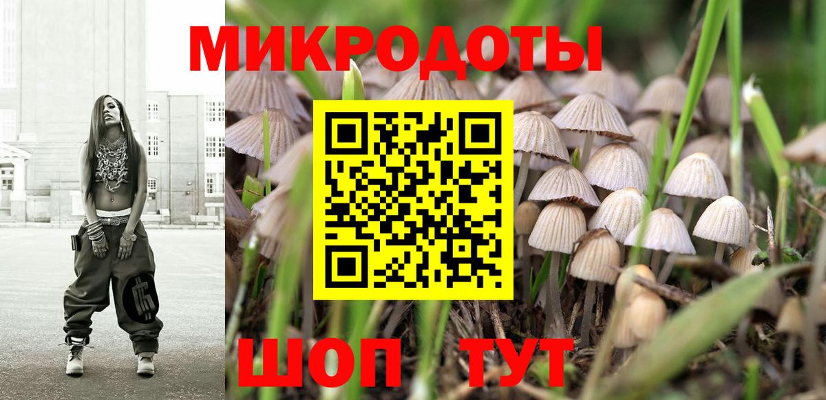Галлюциногенные грибы прущие грибы Губаха